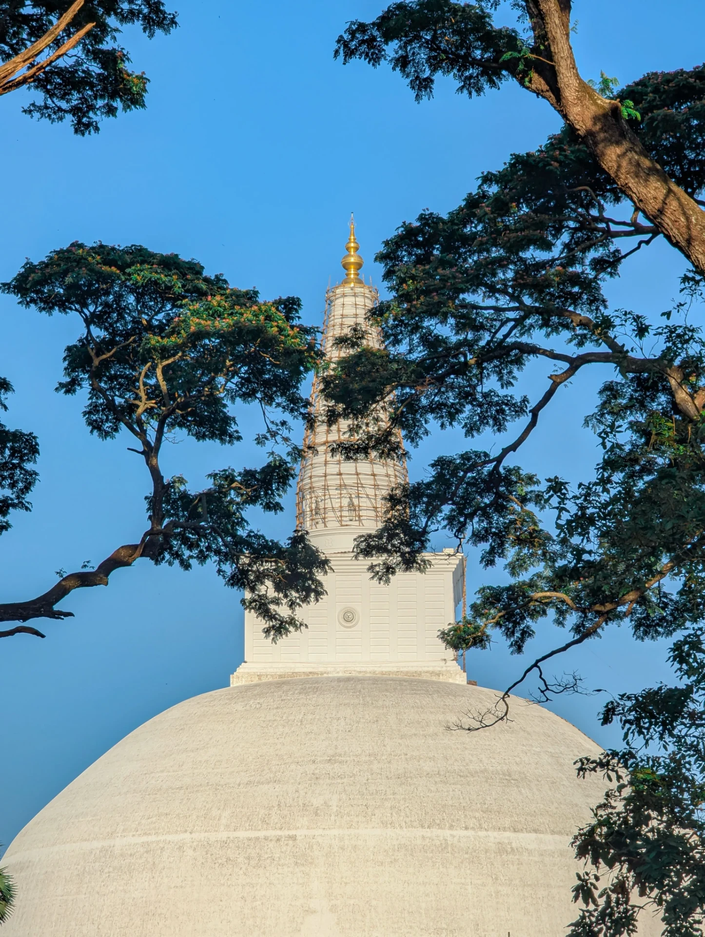අනුරාධපුර ස්වර්ණමාලී මහා චෛත්ය රාජයාණන් වහන්සේ